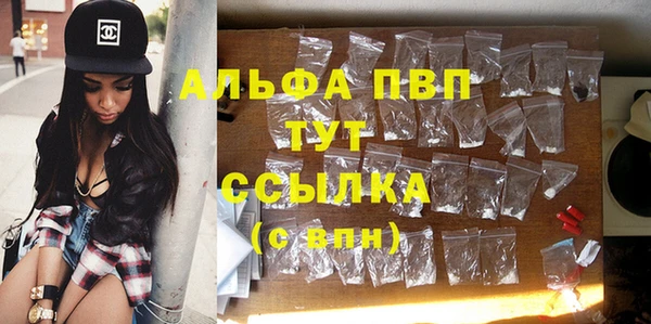 тгк Горняк
