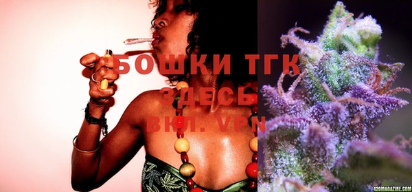 СК Вяземский